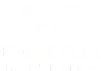 bear fox marketing
