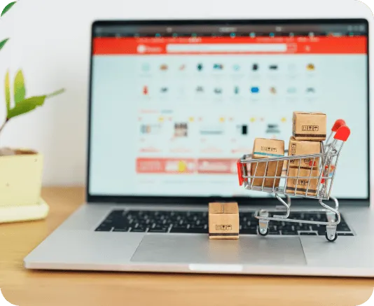 Ecommerce client