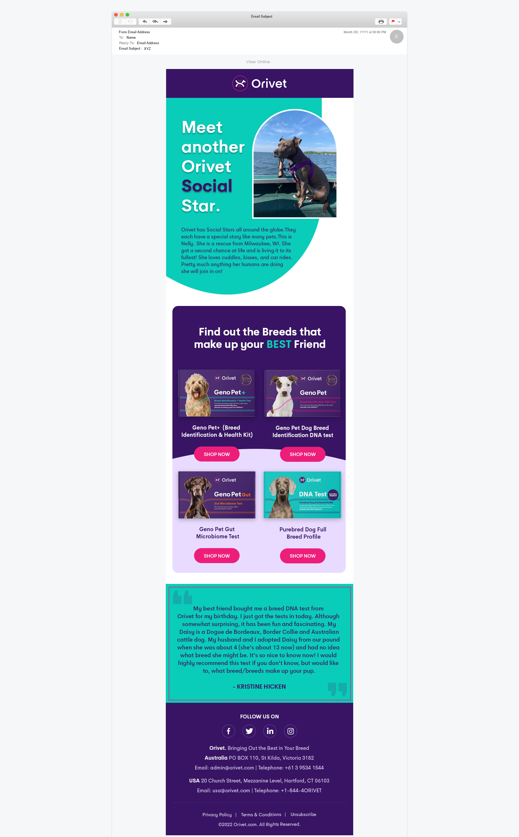 eCommerce Newsletter Email Campaign — Orivet