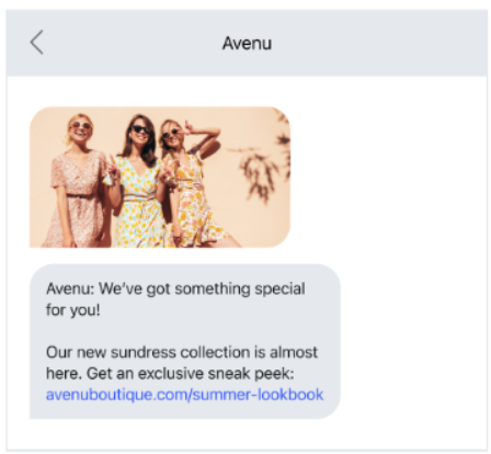 Avenu sms example