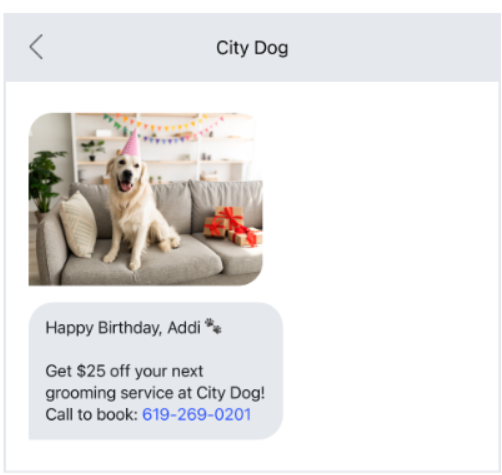 City Dog sms example