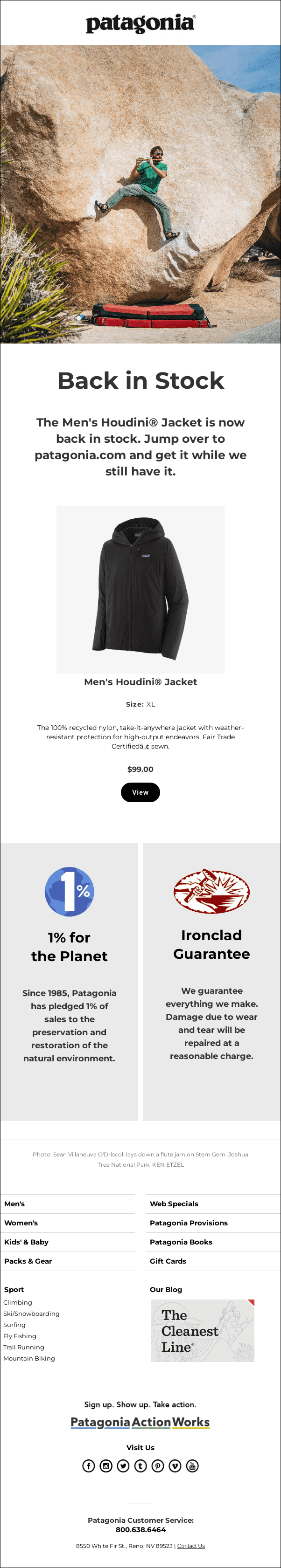 email from Patgonia Action work