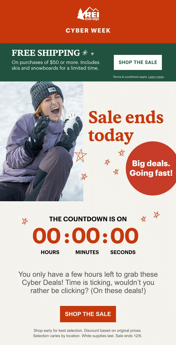Email campaign from REI