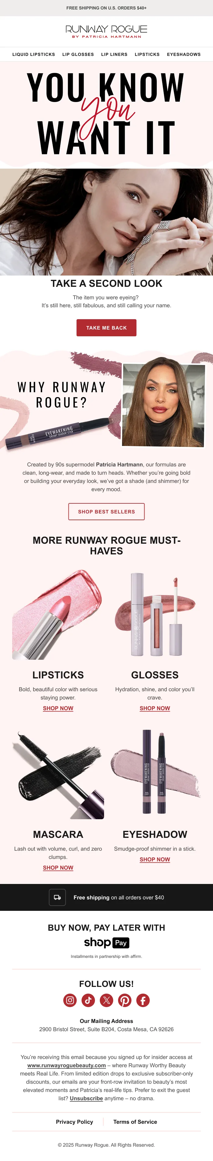 Browse abandonment email flow example for Runway Rogue