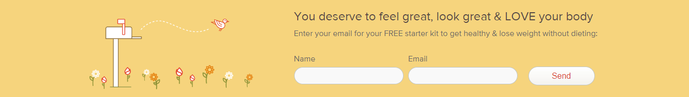 lead magnet examples