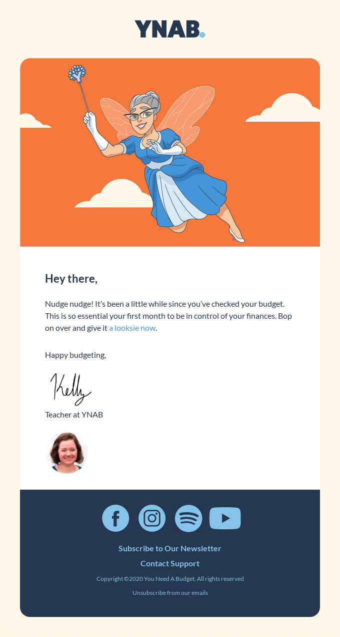 re-engagement email from rynab