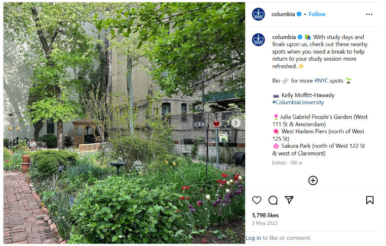  Use UGC from social media platforms in email