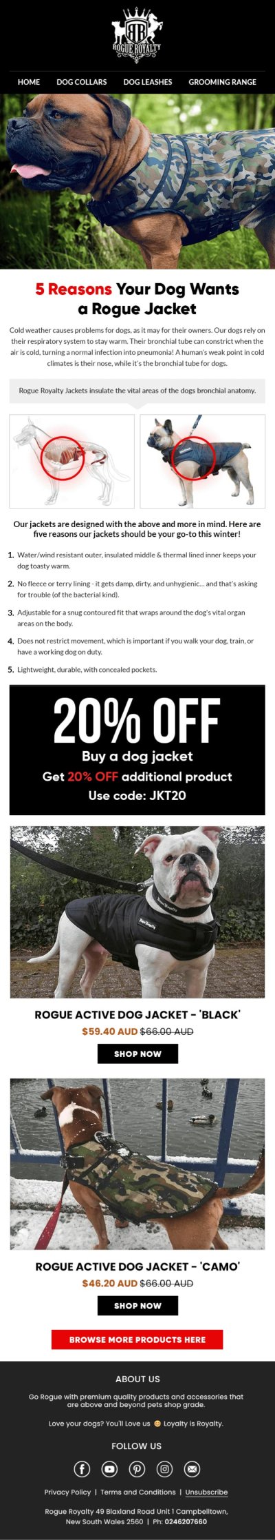 Email Design – email-103
