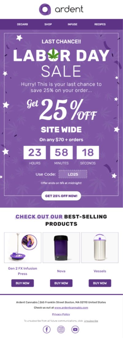 Email Design – email-113