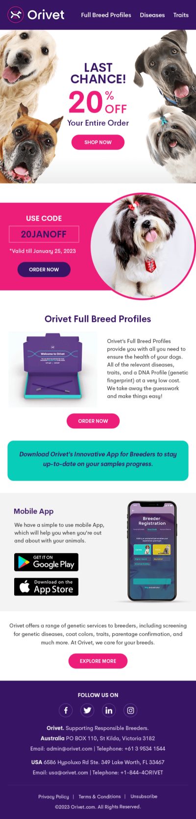 Email Design – email-17