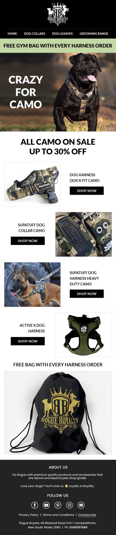 Email Design – email-19