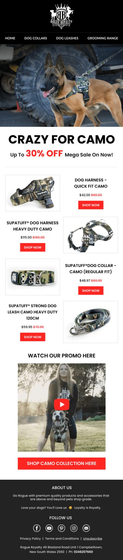 Email Design – email-44