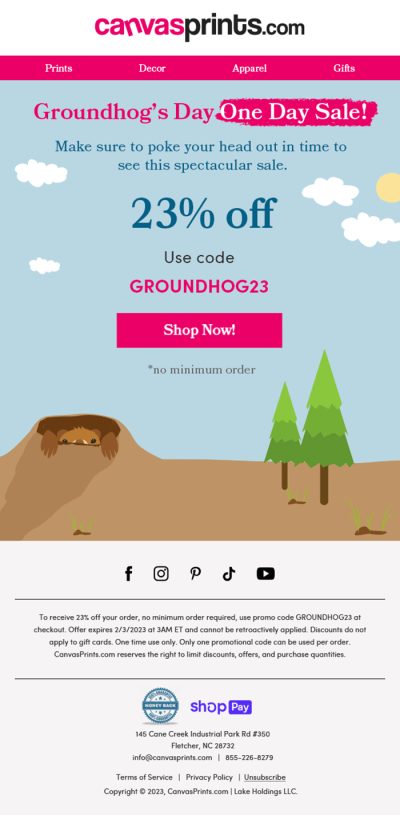 Email Design – email-81
