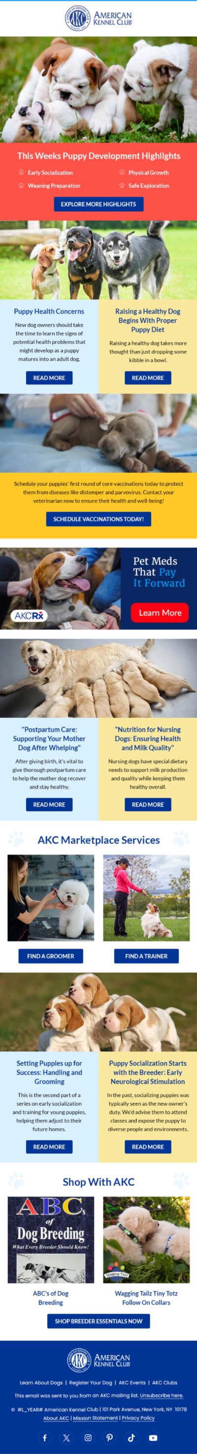 American Kennel Club