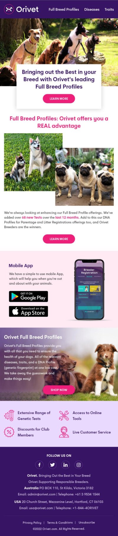 Email Design – email-99